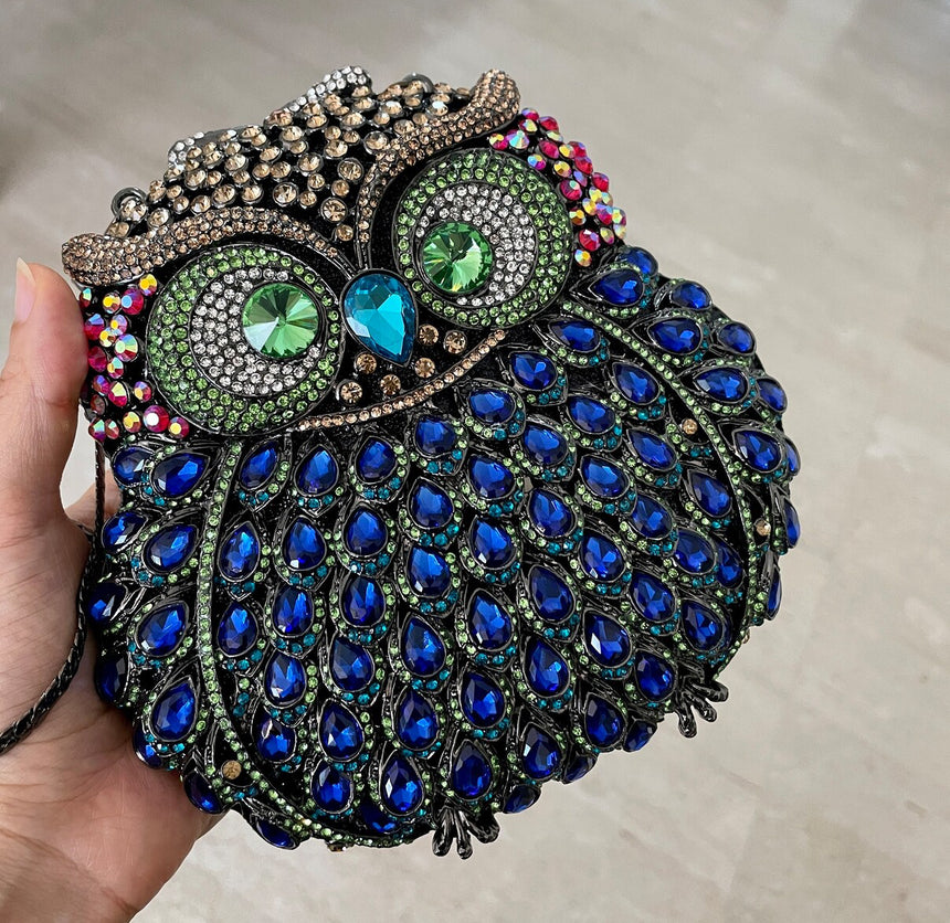 Owl Multicolor Clutch