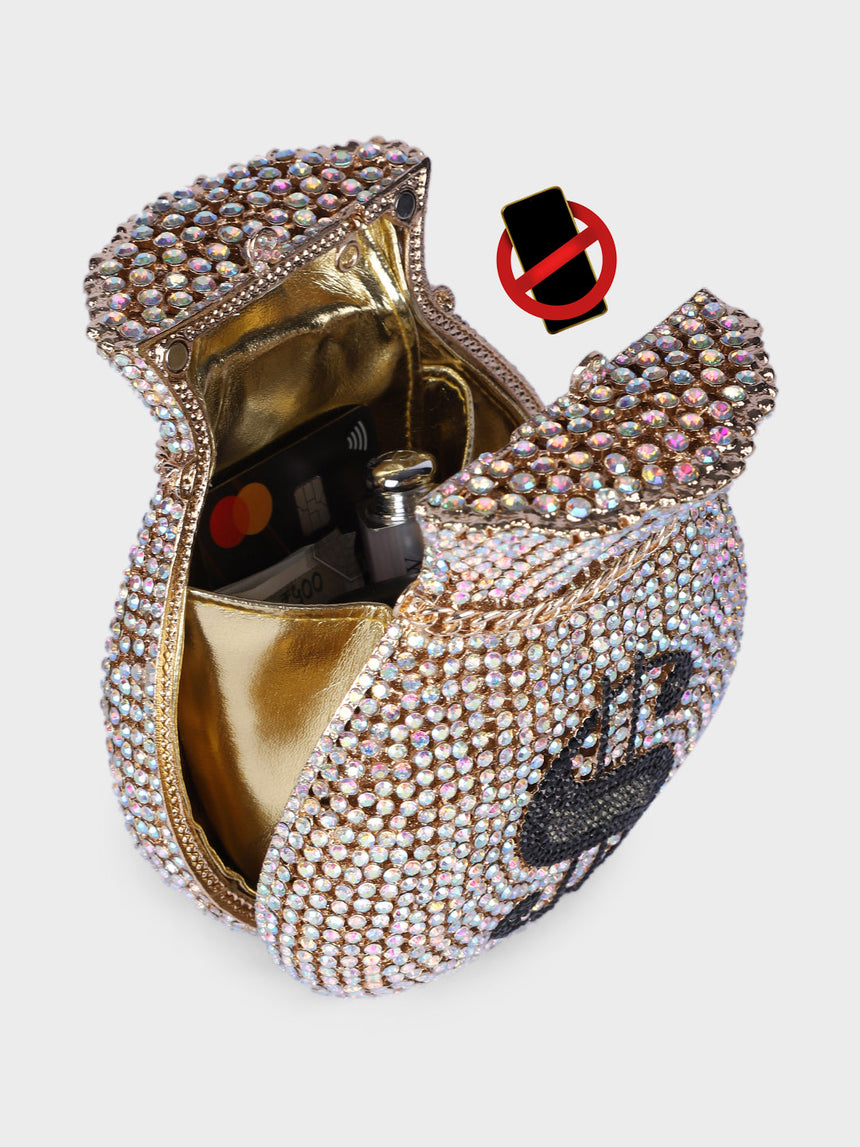 Dollar Multicolor Clutch