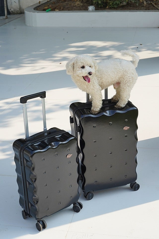 On The Go Black Set Of 2 Luggage