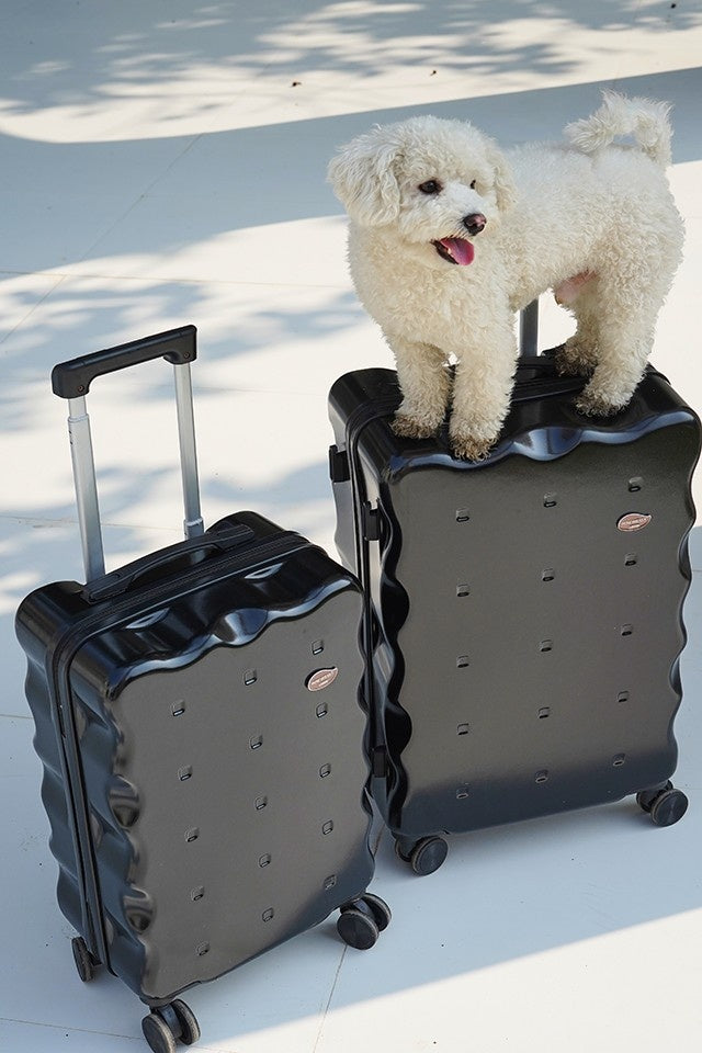 On The Go Black Set Of 2 Luggage