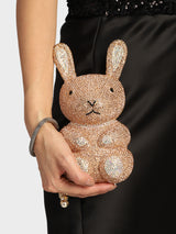 Rabbit Multicoloured Clutch