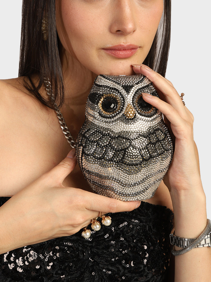 Owl Multicoloured Clutch