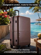 Decembers Large Luggage