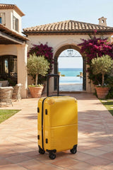 Decembers Large Luggage