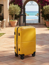 Decembers Large Luggage