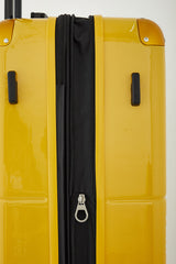 Decembers Large Luggage