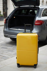 Decembers Large Luggage