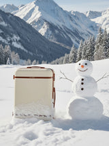 Wanderlust Cabin Beige Small Luggage