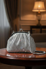 Ambre Silver Clutch