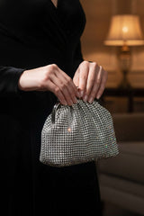 Ambre Silver Clutch
