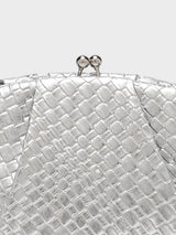 Agathe Silver Clutch