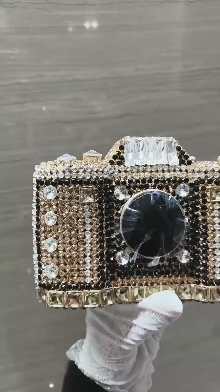 Camera Multicolor Clutch