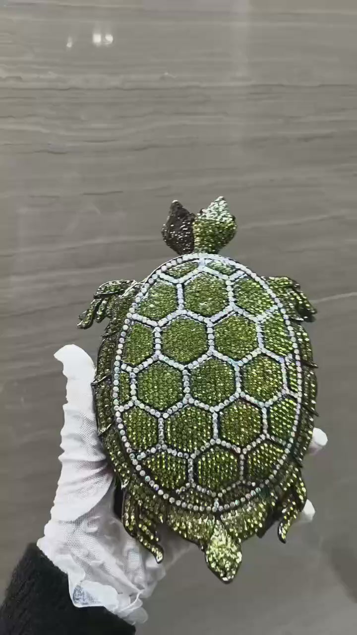 Turtle Multicolor Clutch