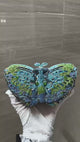 Butterfly Multicolor Clutch