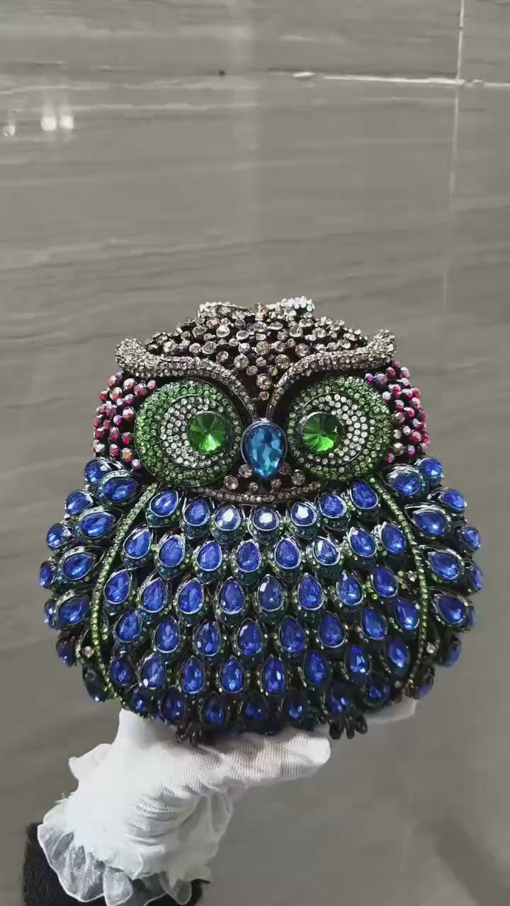 Owl Multicolor Clutch