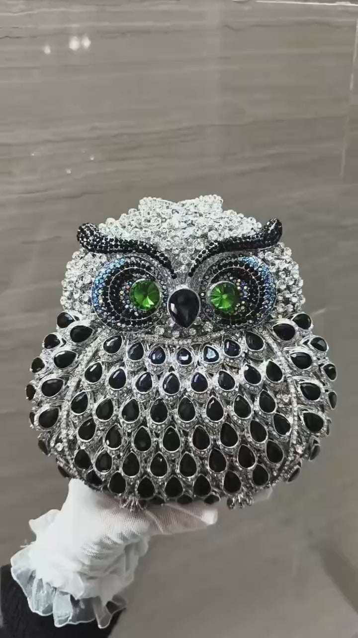 Owl Multicolor Clutch